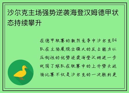 沙尔克主场强势逆袭海登汉姆德甲状态持续攀升