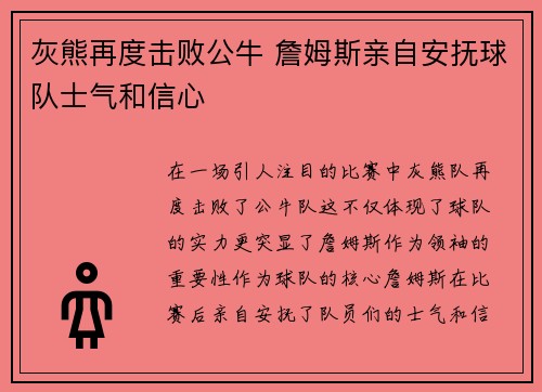 灰熊再度击败公牛 詹姆斯亲自安抚球队士气和信心